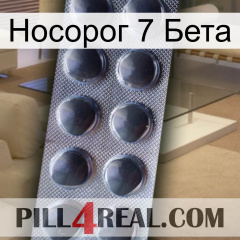 Носорог 7 Бета 30